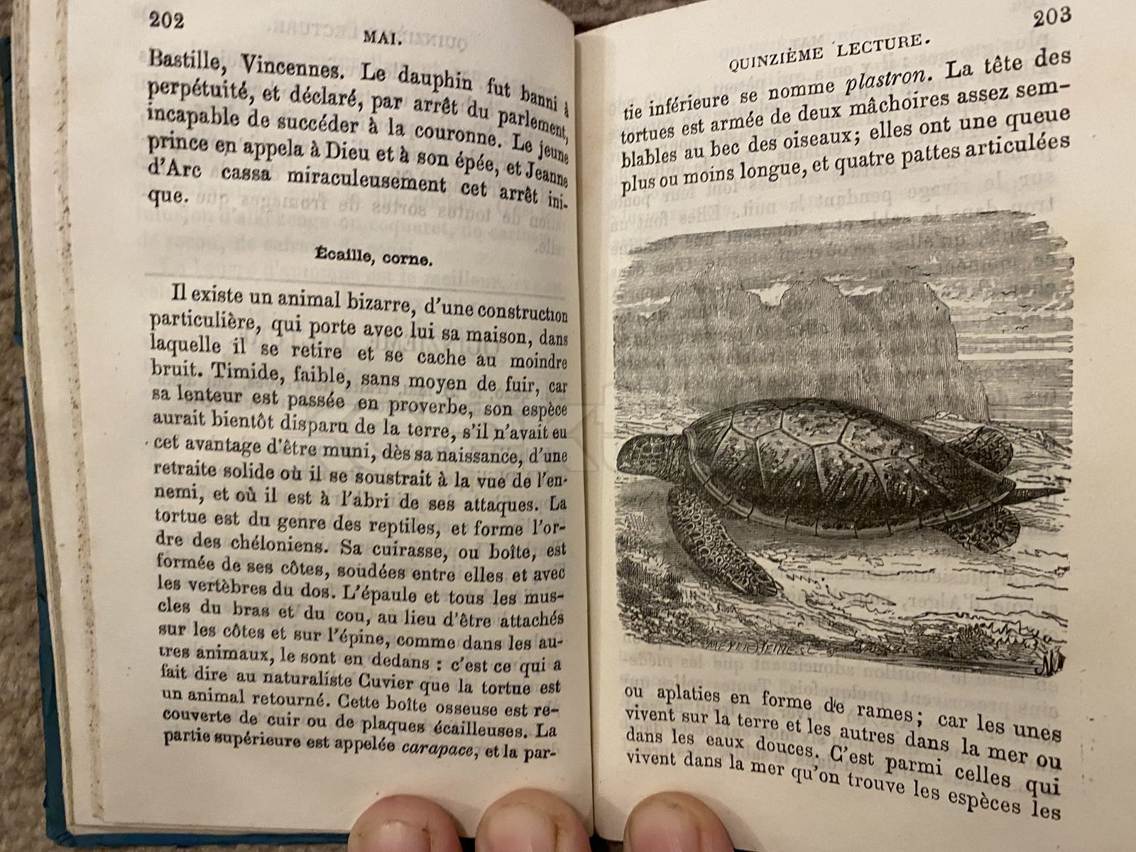 Kniha LECTURE COURANTE