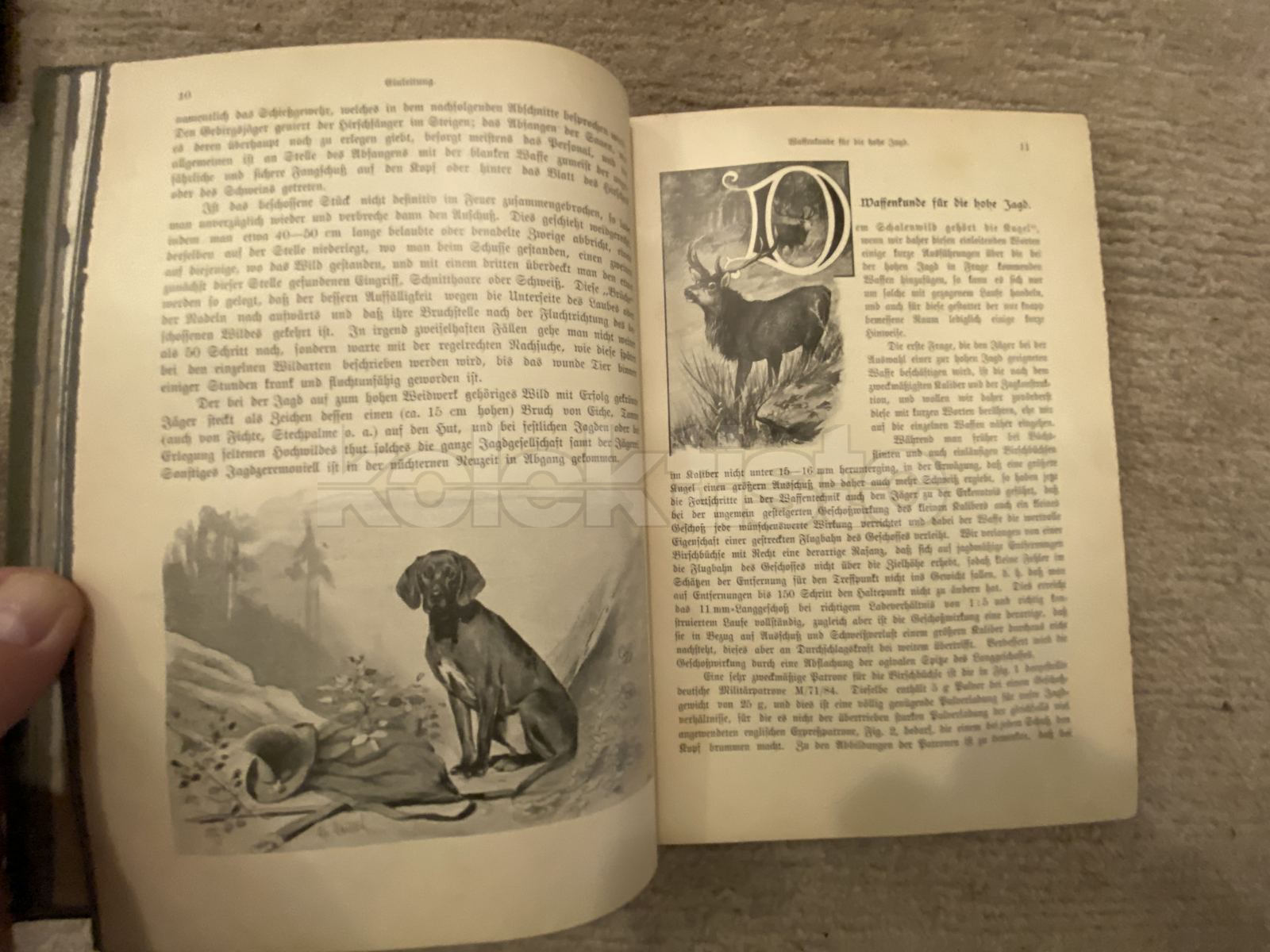 Kniha DIE HOHE JAGD, originální vazba