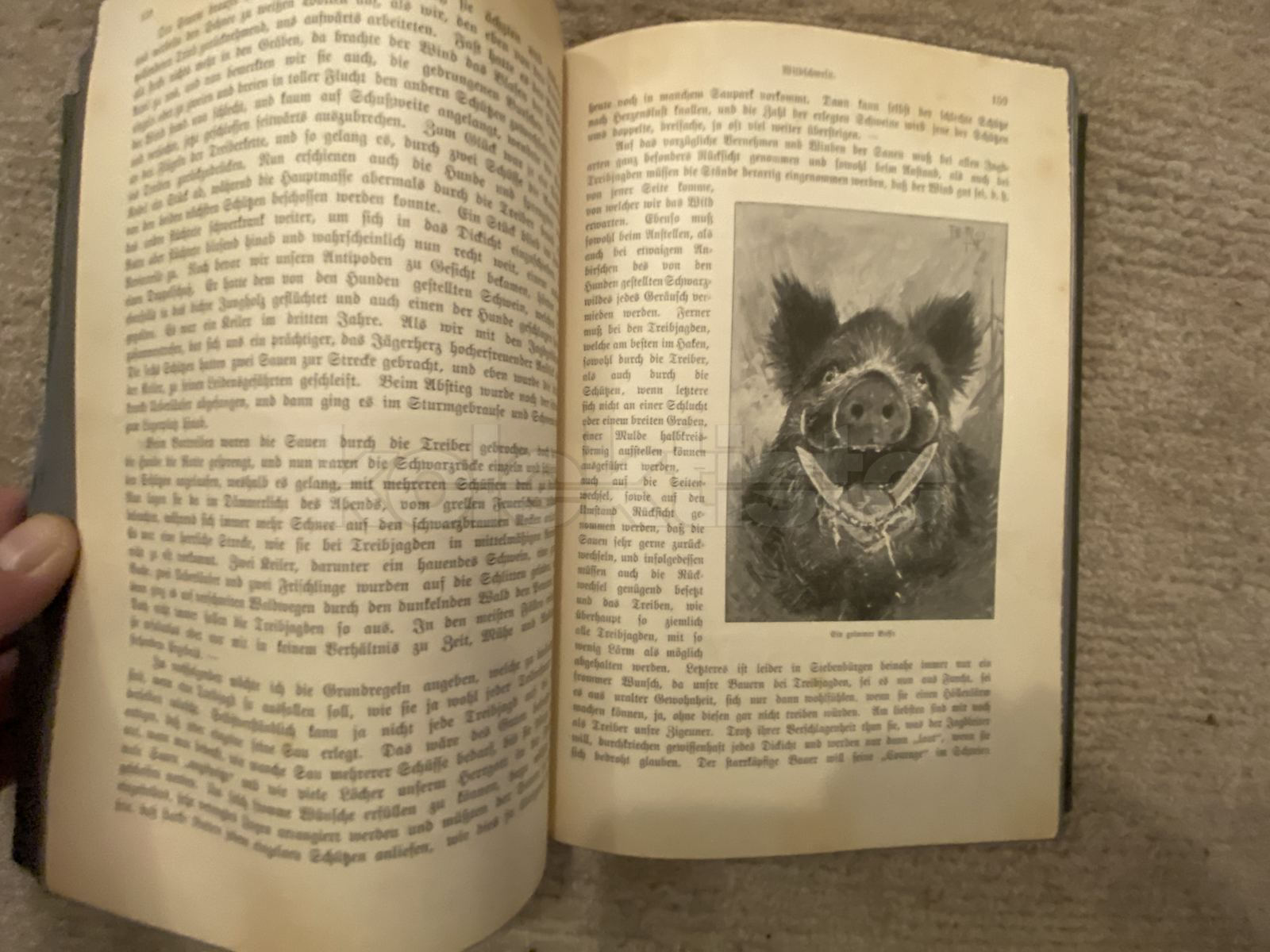 Kniha DIE HOHE JAGD, originální vazba