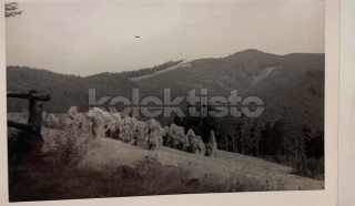 120 Kč XXX Foto NEURČENO, CZE100051