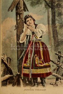 380 Kč XXX Pohlednice NEURČENO KROJE, CZE100150