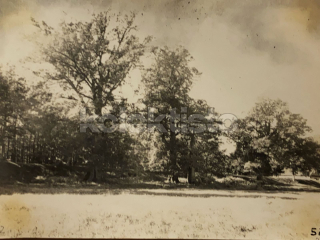 40 Kč XXX Foto Jindřichohradecko, CZE100151