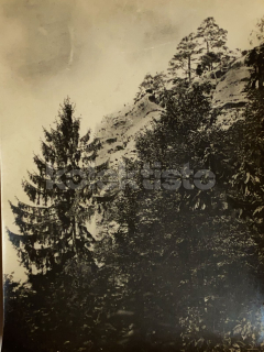 40 Kč XXX Foto Severovýchodní Čechy, CZE100163