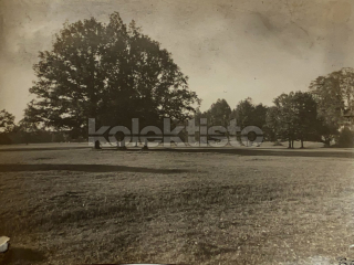 50 Kč XXX Foto Jindřichohradecko, CZE100176