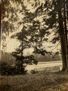 60 Kč XXX Foto Jindřichohradecko, CZE100187