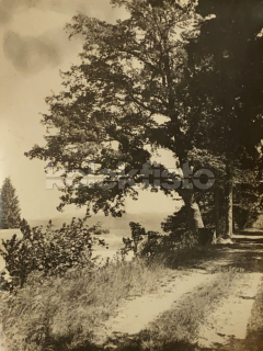 60 Kč XXX Foto Jindřichohradecko, CZE100188