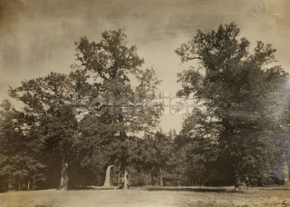 60 Kč XXX Foto Jindřichohradecko, CZE100189