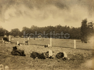 60 Kč XXX Foto Jindřichohradecko, CZE100192