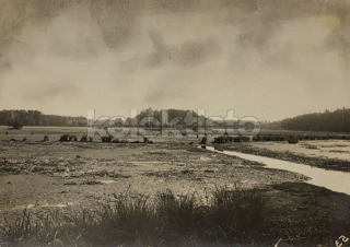 60 Kč XXX Foto Jižní Čechy, CZE100195