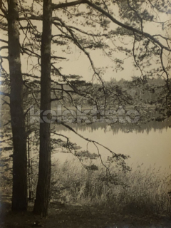 60 Kč XXX Foto Jižní Čechy, CZE100196
