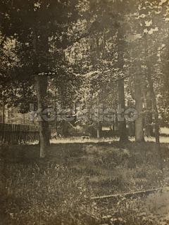 60 Kč XXX Foto Jižní Čechy, CZE100201