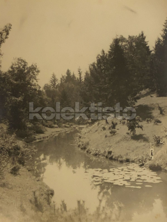 60 Kč XXX Foto Jižní Čechy, CZE100202