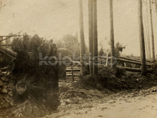 60 Kč XXX Foto Jižní Čechy, CZE100203