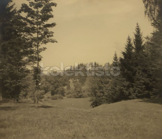 60 Kč XXX Foto Jižní Čechy, CZE100204
