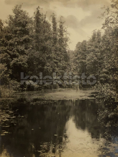 60 Kč XXX Foto Jižní Čechy, CZE100207