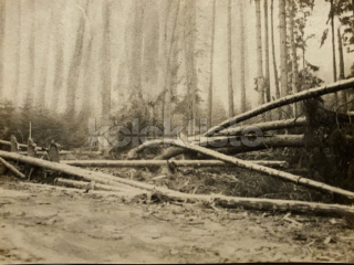 60 Kč XXX Foto Jižní Čechy, CZE100212