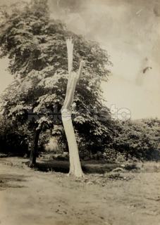 60 Kč XXX Foto Jižní Čechy, CZE100213