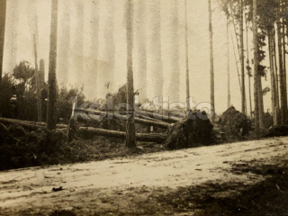 60 Kč XXX Foto Jižní Čechy, CZE100214