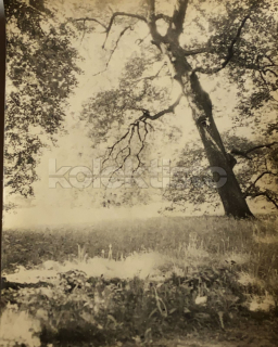 60 Kč XXX Foto Morava a Slezsko, CZE100227