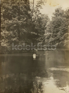 60 Kč XXX Foto Morava a Slezsko, CZE100228