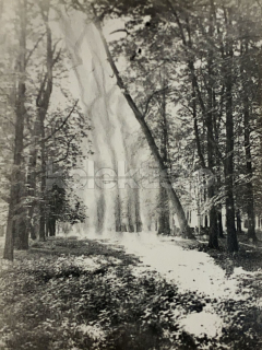 60 Kč XXX Foto Severovýchodní Čechy, CZE100234