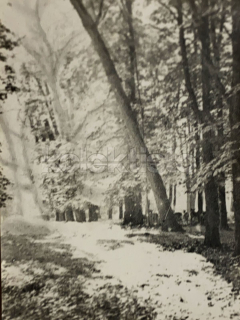 60 Kč XXX Foto Severovýchodní Čechy, CZE100235