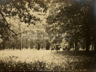 60 Kč XXX Foto Severovýchodní Čechy, CZE100239