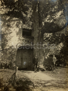 80 Kč XXX Foto Jižní Čechy, CZE100280