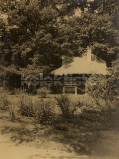 80 Kč XXX Foto Jižní Čechy, CZE100285