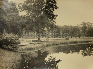 80 Kč XXX Foto Severovýchodní Čechy, CZE100296