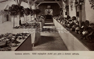 600 Kč ABM Pohlednice Praha 1, CZE101274