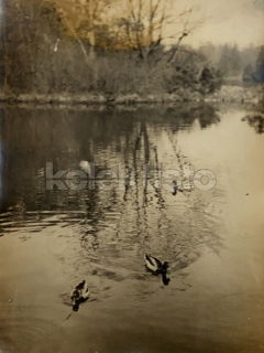 40 Kč ABM Foto Praha 7, CZE102166