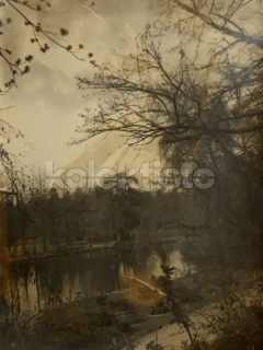 40 Kč ABM Foto Praha 7, CZE102168