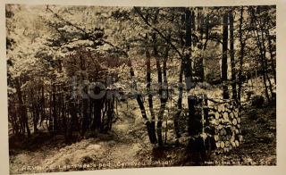240 Kč ABZ Pohlednice Řevnice, CZE103084