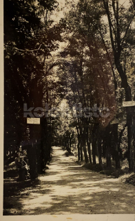 260 Kč ABZ Pohlednice Řevnice, CZE103399