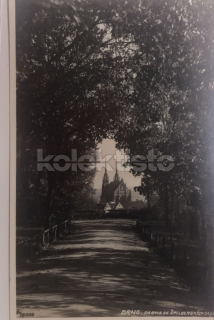 100 Kč BOM Pohlednice Brno, CZE105509