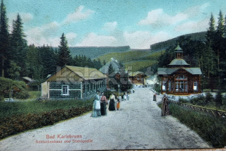 460 Kč BR Pohlednice Karlova Studánka, CZE106527