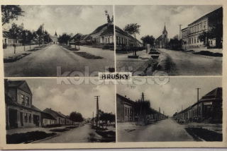 280 Kč BV Pohlednice Hrušky, CZE106571