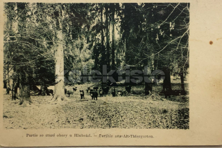 100 Kč CB Pohlednice Hluboká nad Vltavou, CZE106949