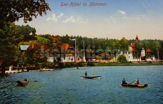 320 Kč CL Pohlednice Hamr na Jezeře, CZE108321
