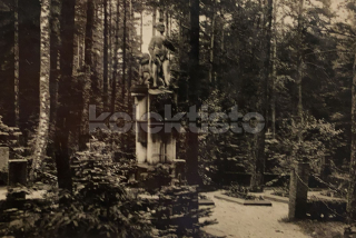 160 Kč CL Pohlednice Nový Bor POMNÍKY, CZE108368