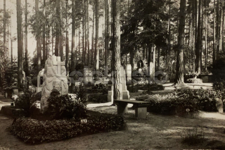 320 Kč CL Pohlednice Nový Bor POMNÍKY, CZE108378