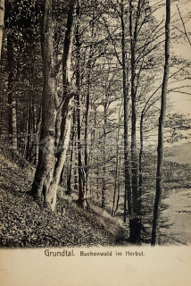 160 Kč CV Pohlednice Bezručovo údolí, CZE108796