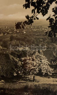 260 Kč CV Pohlednice Vinařice, CZE108815