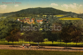 280 Kč CV Pohlednice Vinařice, CZE108819