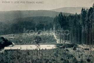 260 Kč DO Pohlednice Česká Kubice, CZE109942