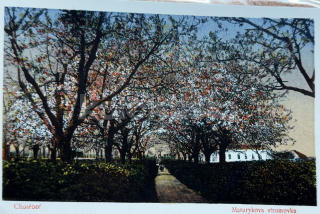 380 Kč HB Pohlednice Chotěboř, CZE110438