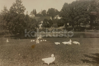 360 Kč JC Pohlednice Mladějov, CZE111359