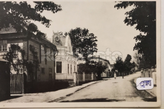 180 Kč JH Pohlednice Studená, CZE111817