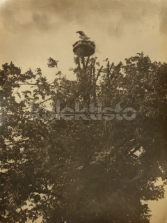 60 Kč JH Foto Jarošov nad Nežárkou, CZE111880